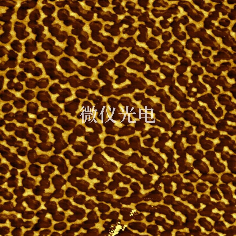 原子力顯微鏡在生化研究中的應(yīng)用