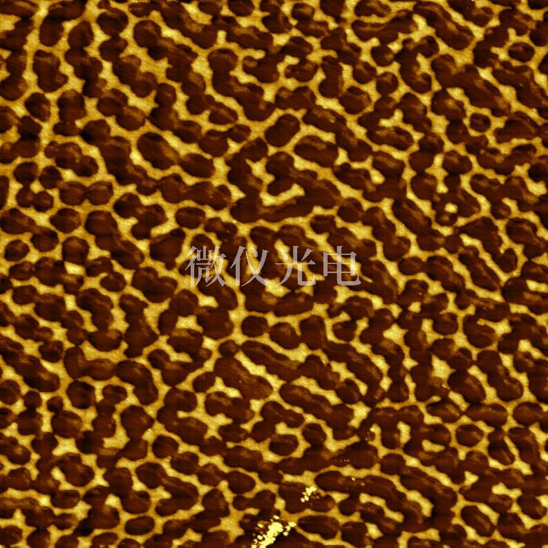 AFM原子力顯微鏡制樣時(shí)要注意的關(guān)鍵點(diǎn)：確保實(shí)驗(yàn)**度的全流程指南