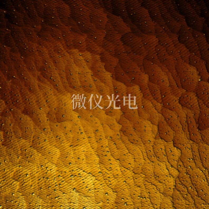 AFM原子力顯微鏡在電化學(xué)領(lǐng)域的應(yīng)用探索：從微觀(guān)機(jī)理到技術(shù)創(chuàng)新